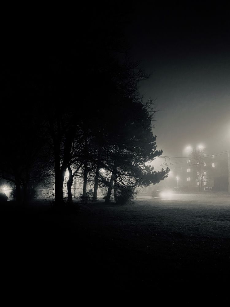 Фотография автора Natalija Kokalevská