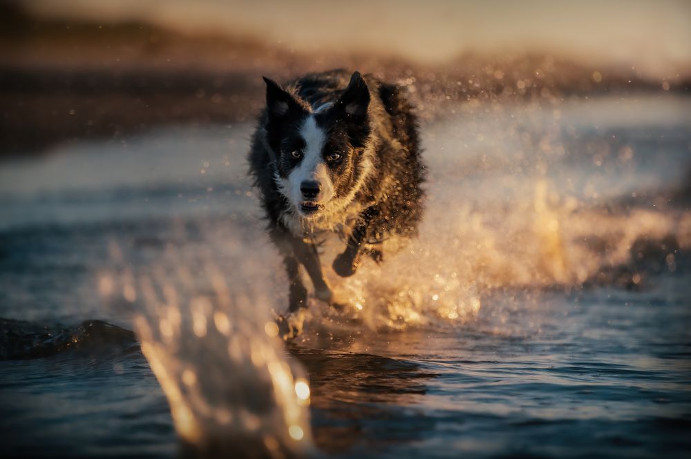 Photograph by Els Decoodt