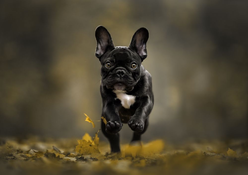 Photograph by Els Decoodt