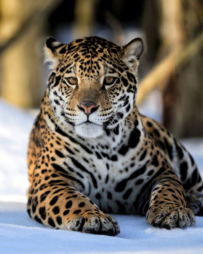 Photograph by Андрей Автухов