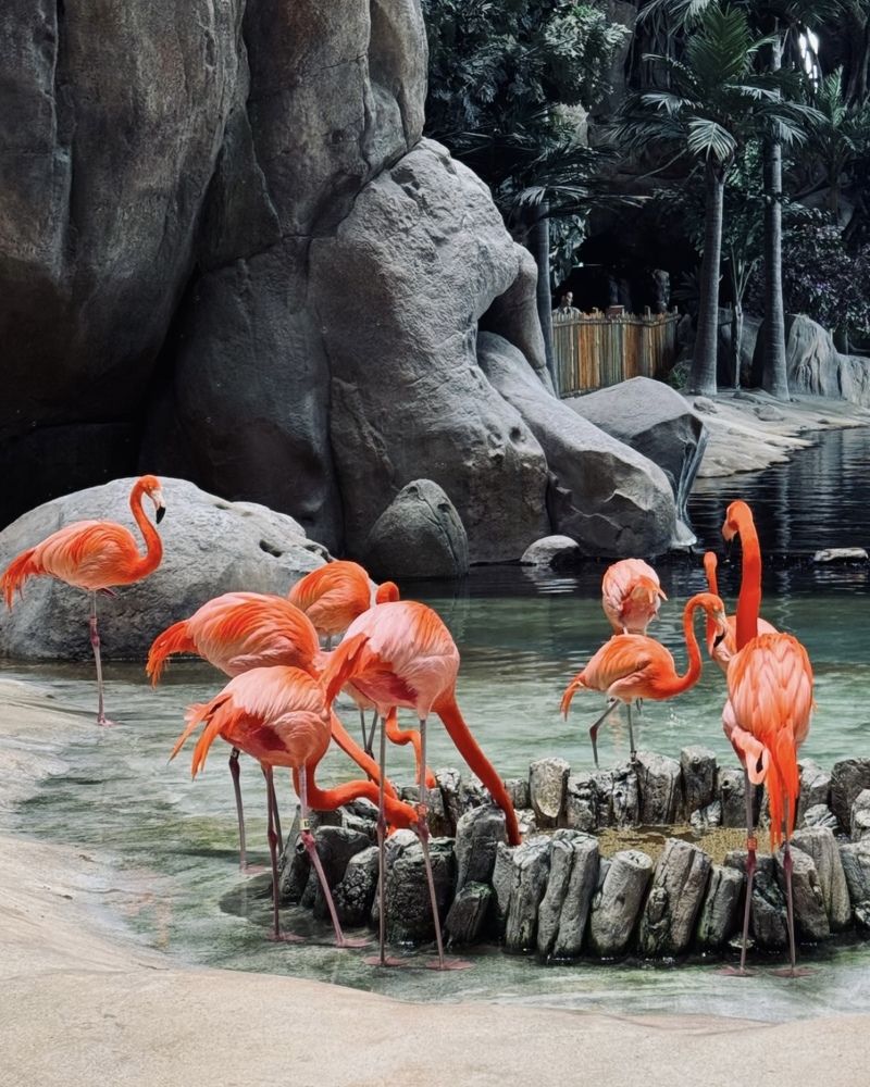 Фотография автора Nazgul Mamylkanova