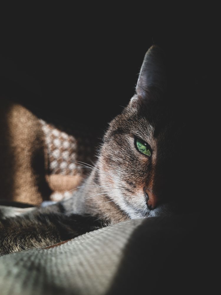 Photograph by Эльза Калюшева