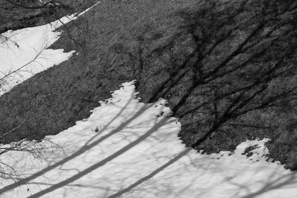 Photograph by Анна Любимова