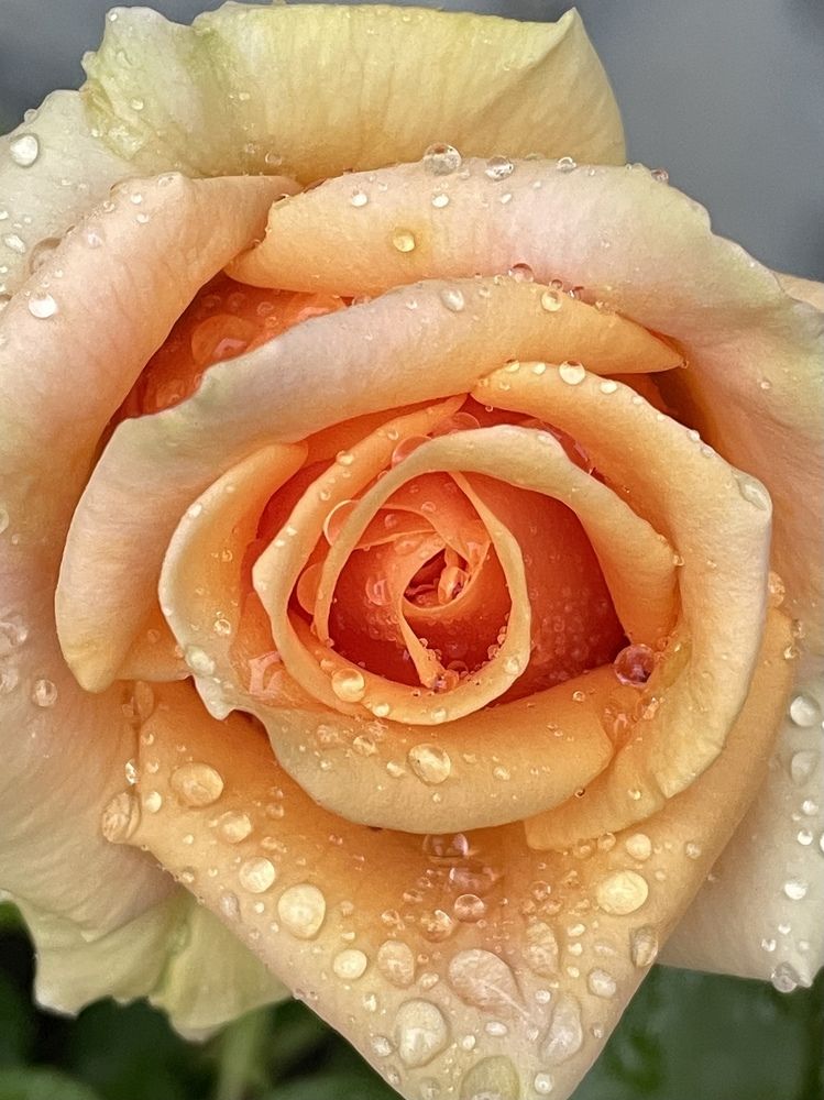 Photograph by Татьяна Токарева