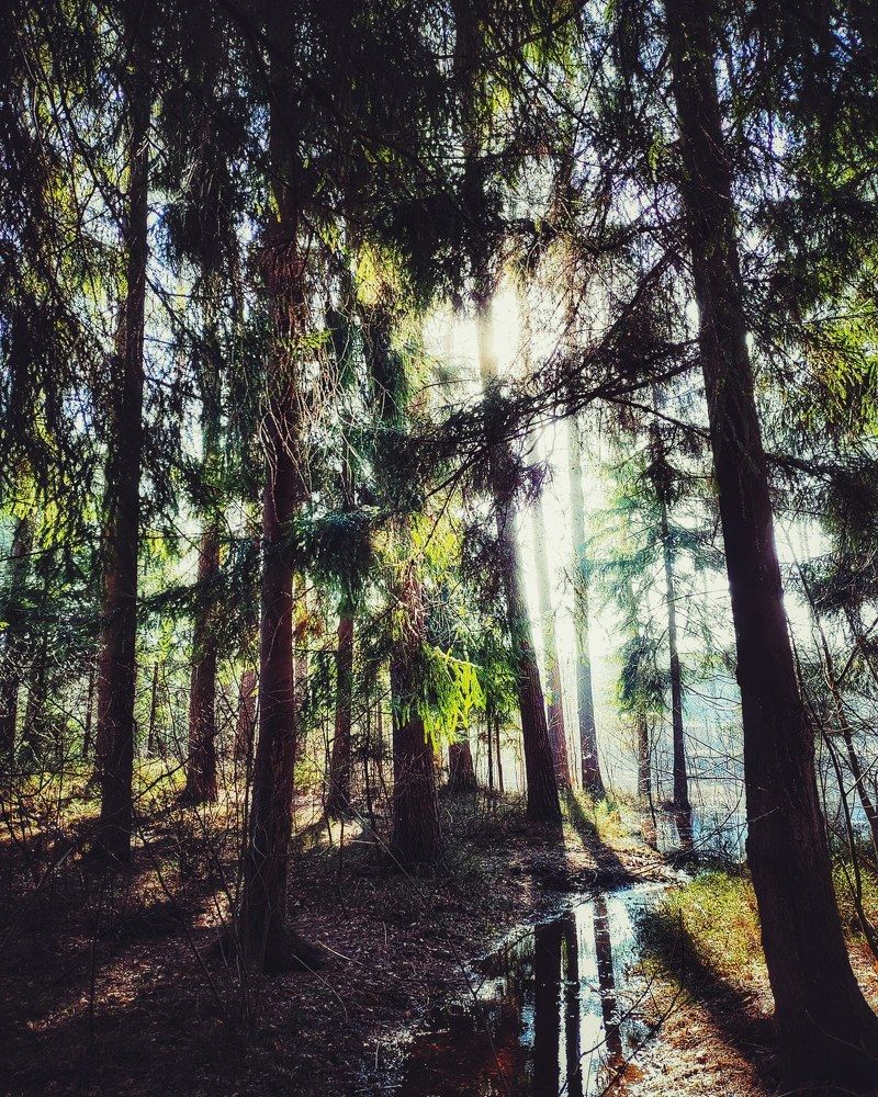 Photograph by Галина