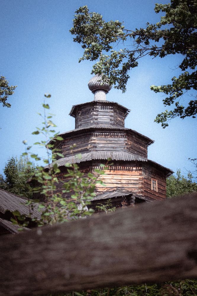 Photograph by Алина Аглямова