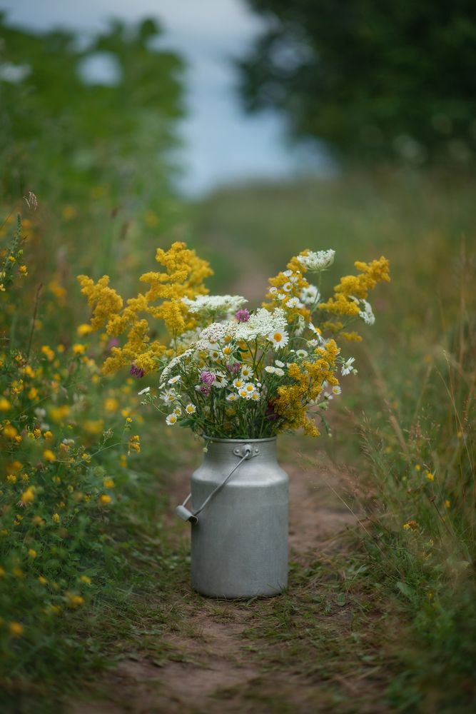 Photograph by Елена Косинова