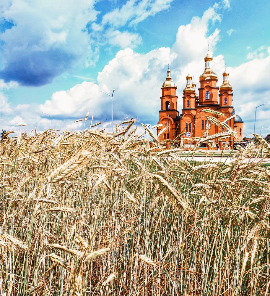 Photograph by Татьяна