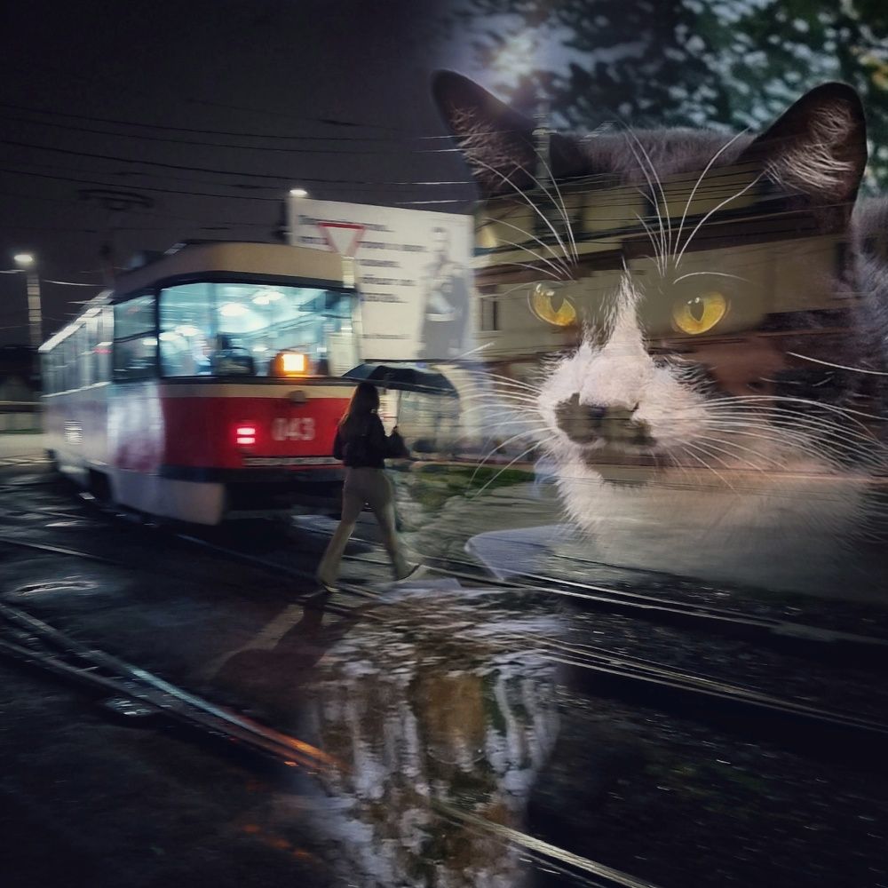 Photograph by Гельфман Галина