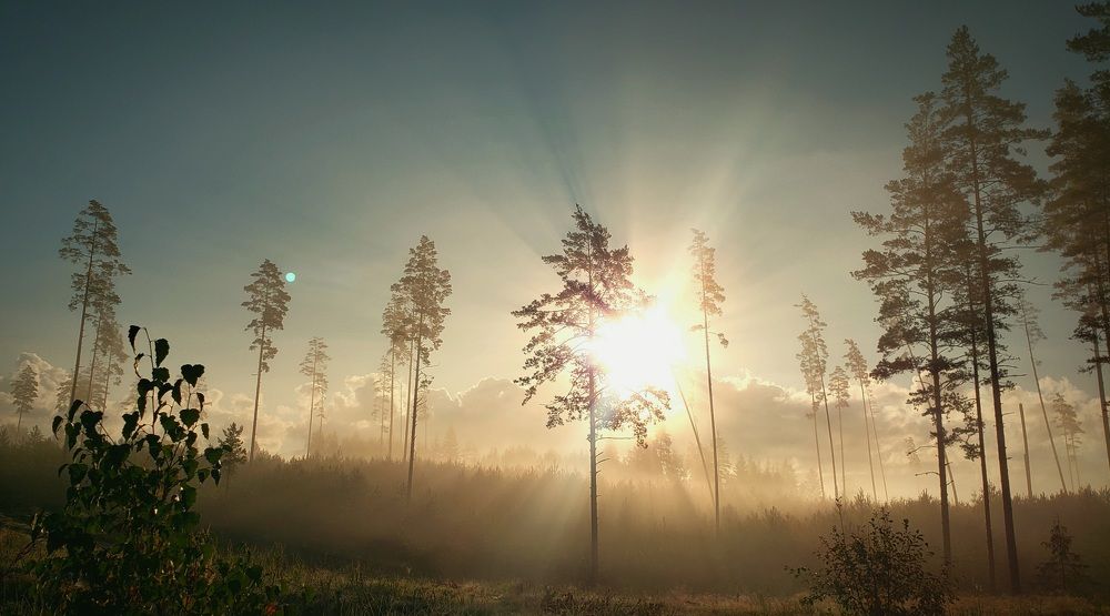 Photograph by Татьяна Шандромайло