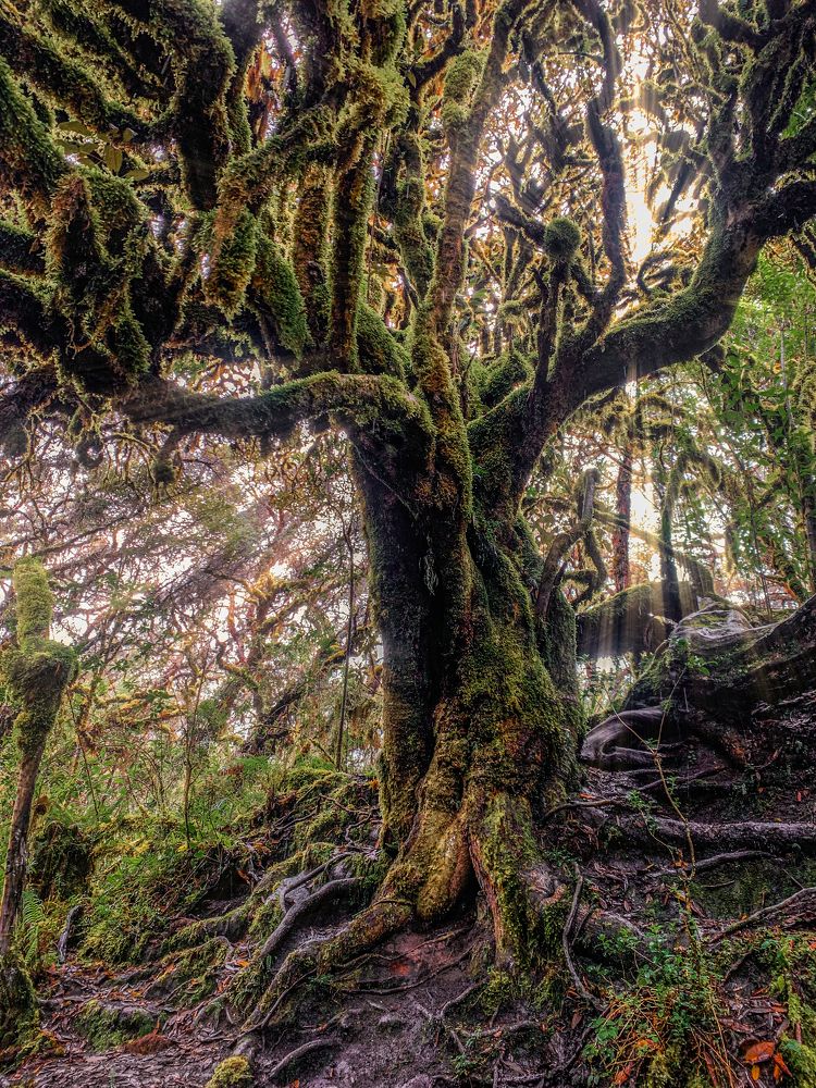 Photograph by Marco Vinicio Garzón Maya