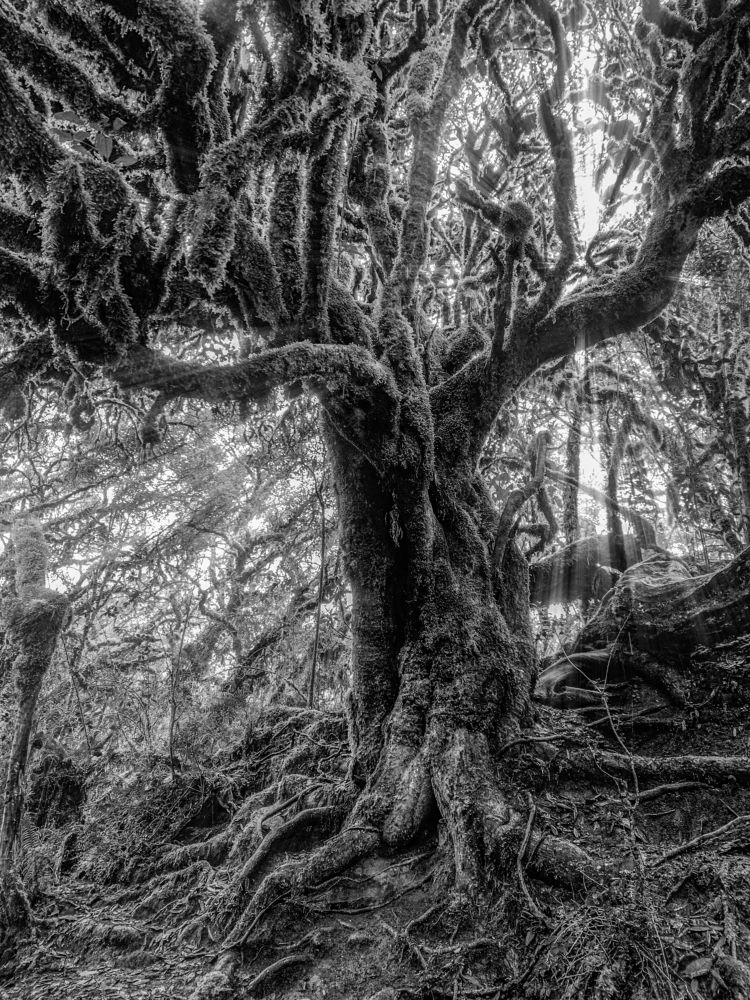 Photograph by Marco Vinicio Garzón Maya