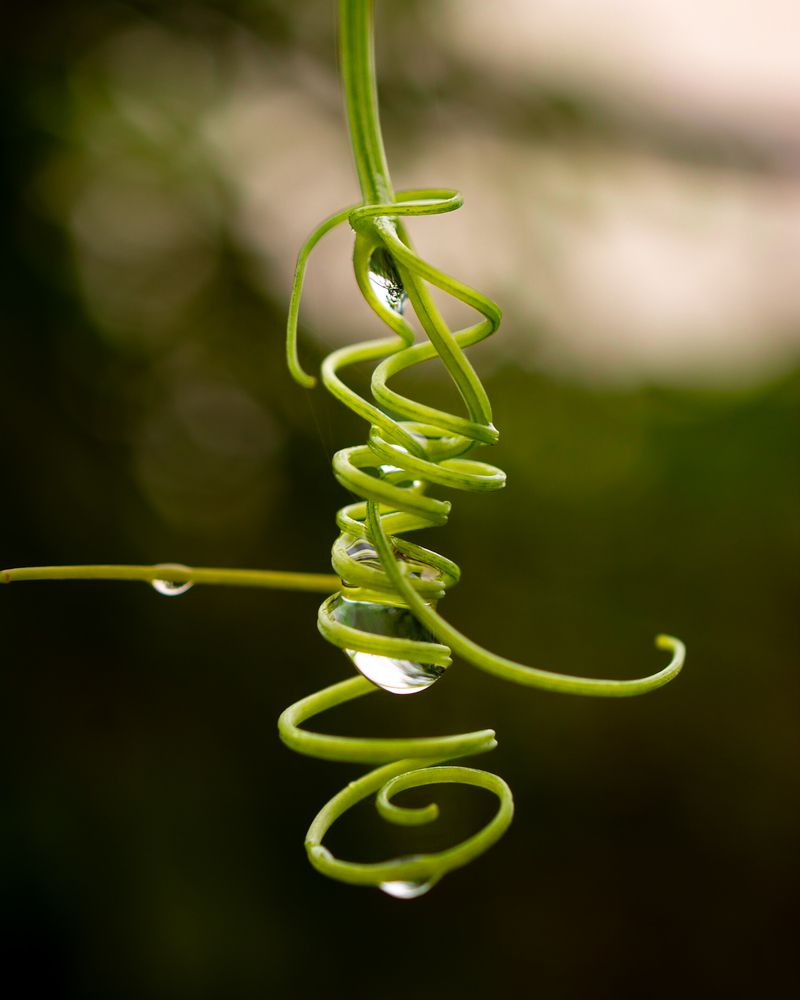 Фотография автора Maichel de Paula