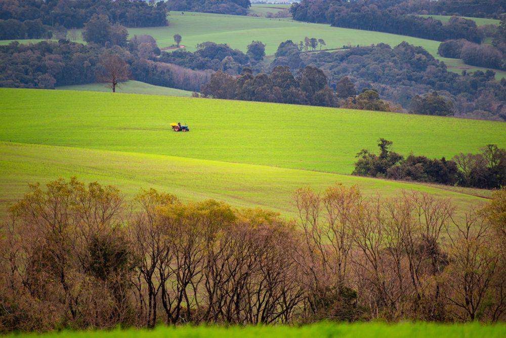 Фотография автора Maichel de Paula