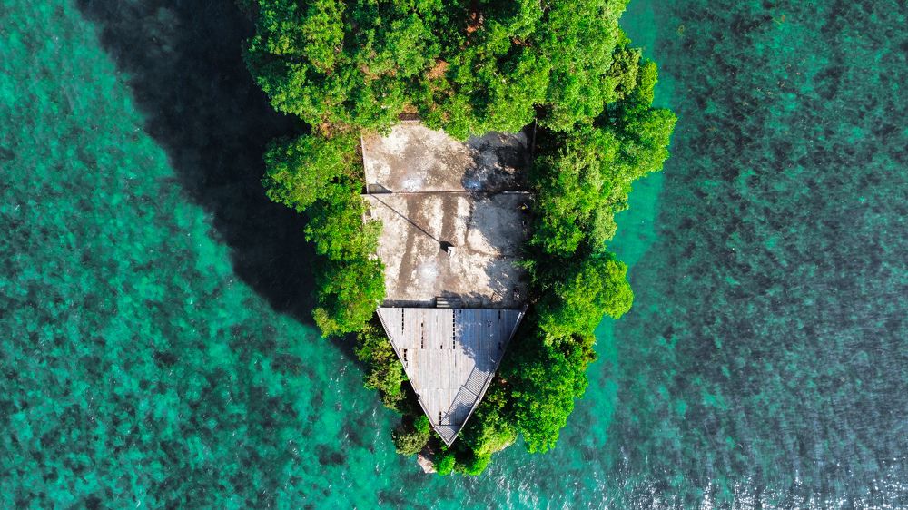 Photograph by Milton