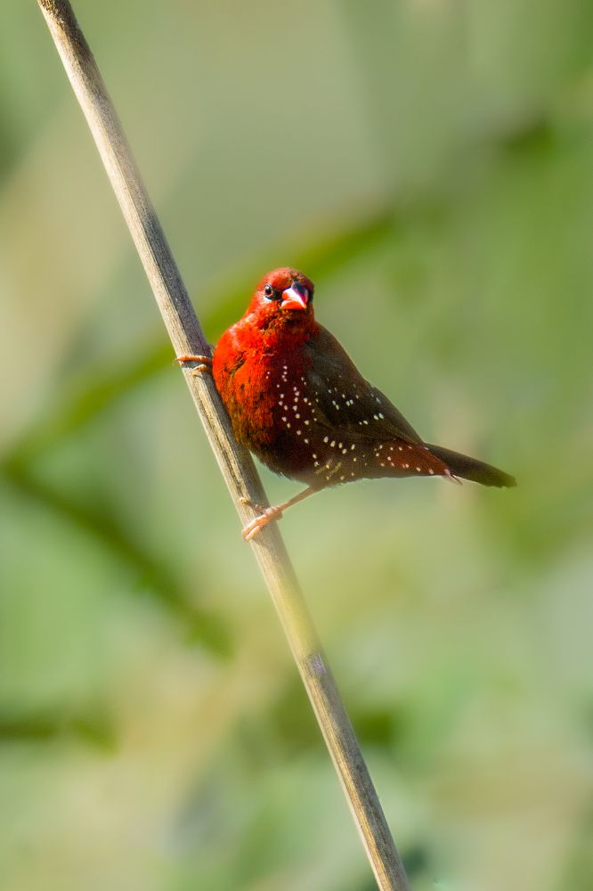 Photograph by sunil agadi