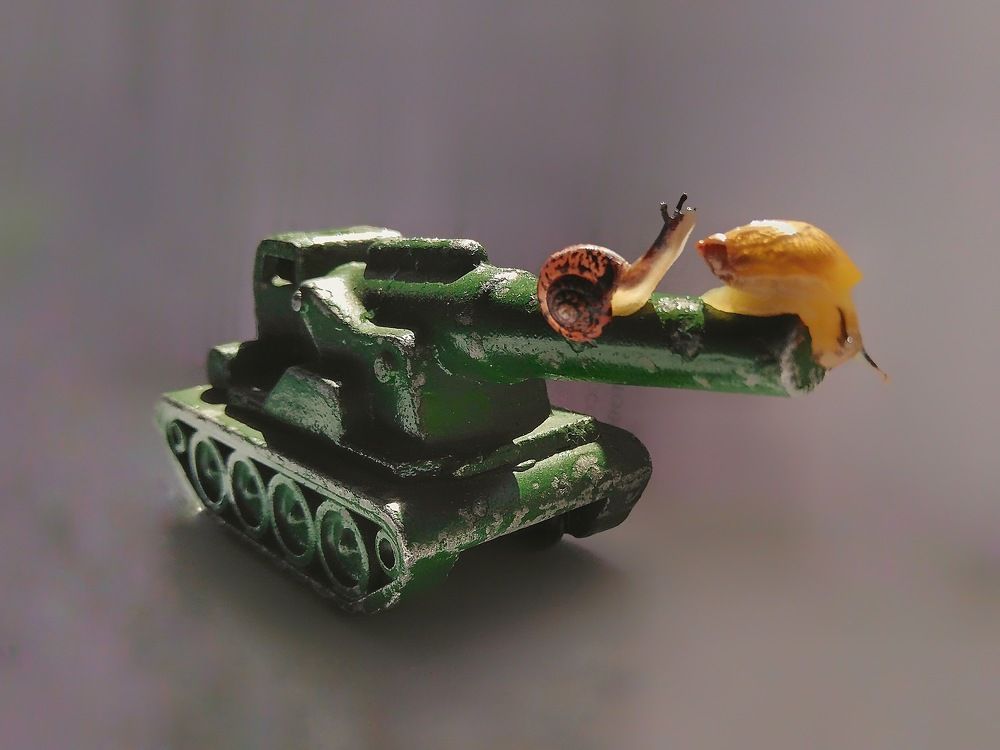 любопытство