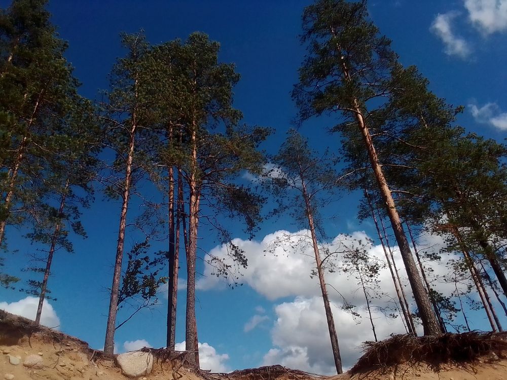 Photograph by Irina Mihailovskaya