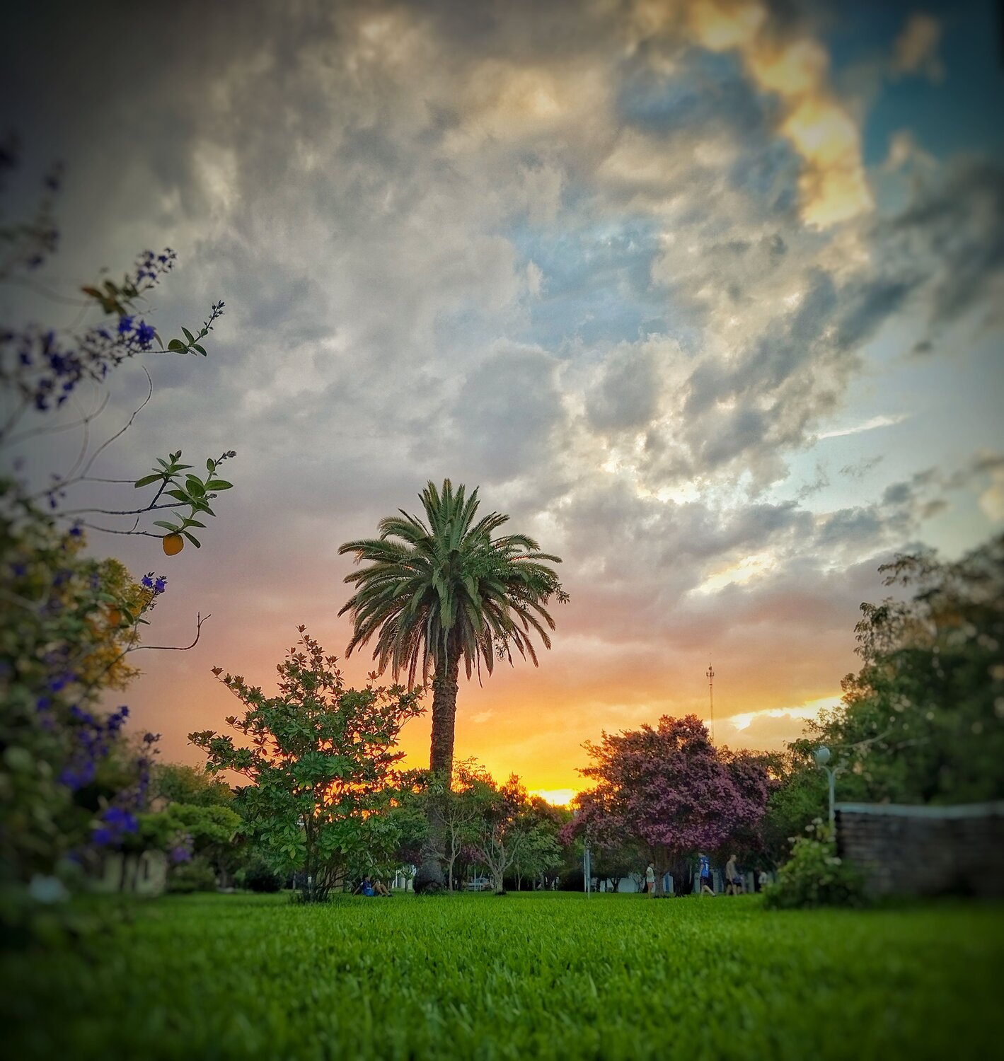 Photo #10461443