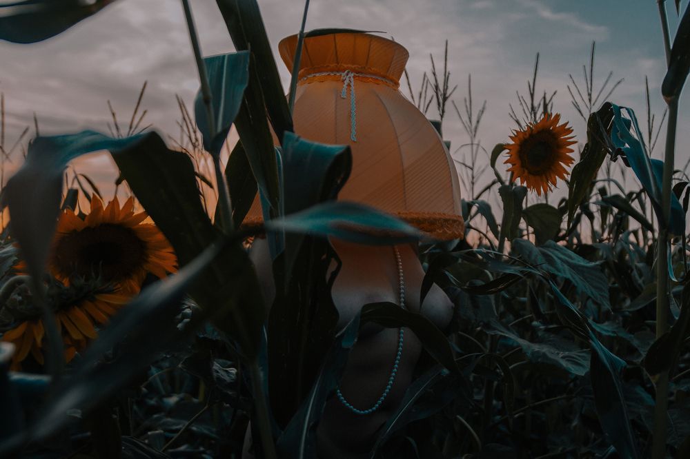 Фотография автора Denis