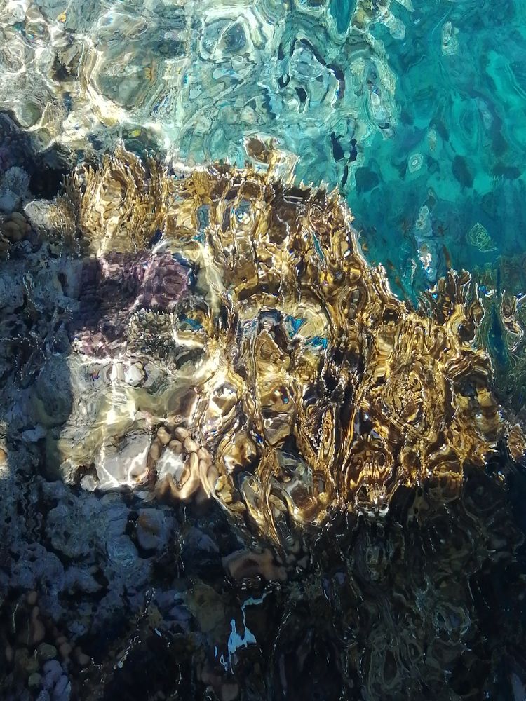 Photograph by Римма Бобрякова