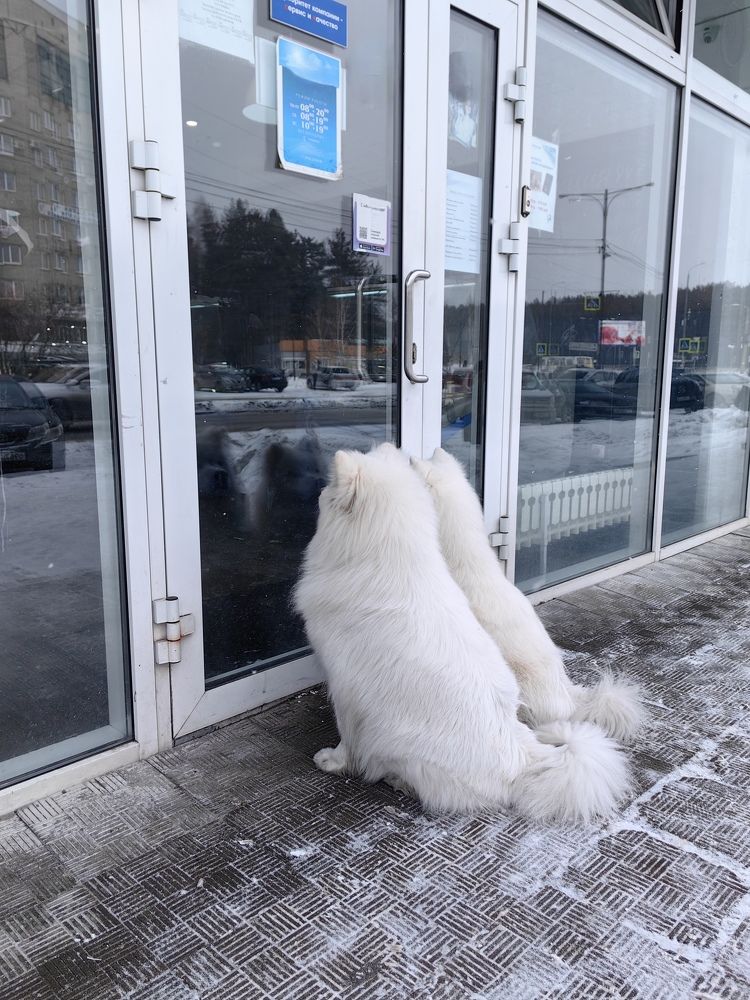 Photograph by Римма Бобрякова