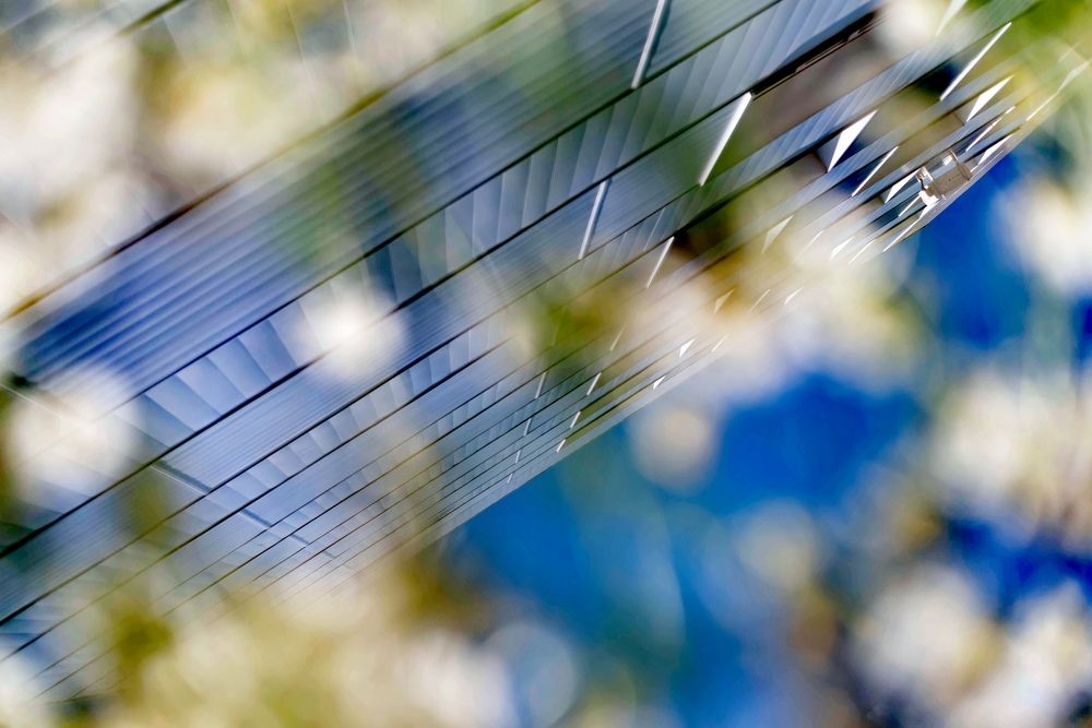 Photograph by Римма Бобрякова