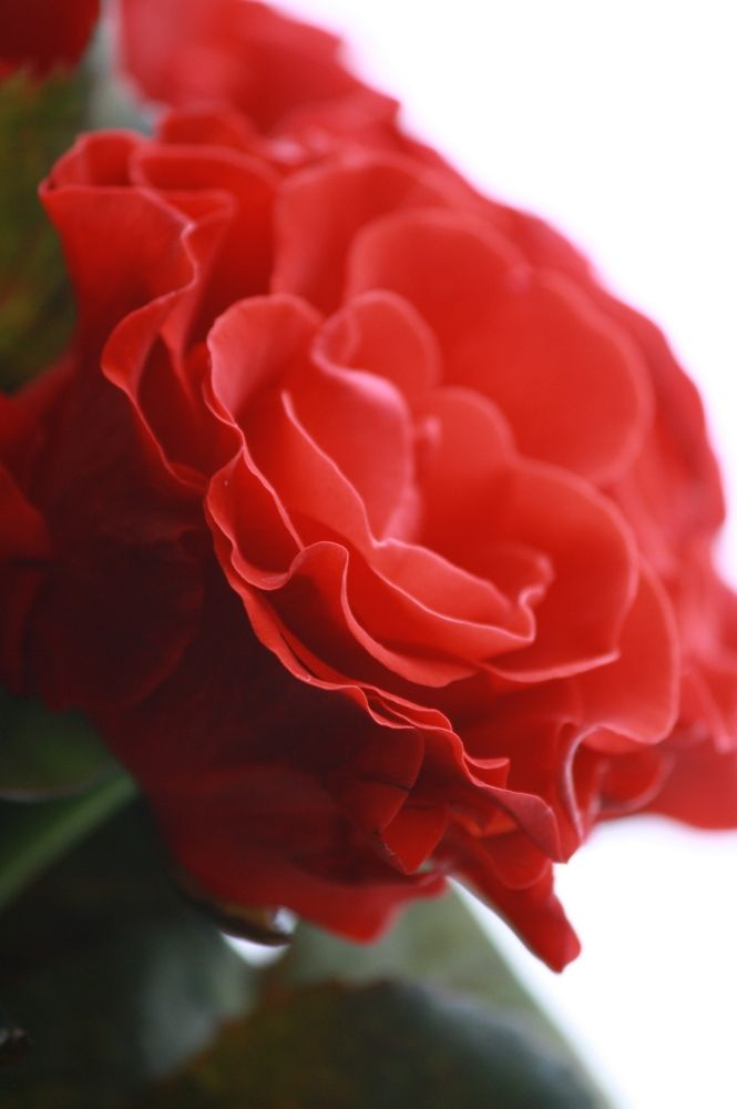 Photograph by Михаил Некрасов