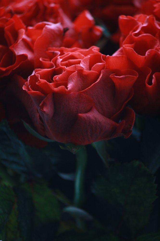 Photograph by Михаил Некрасов