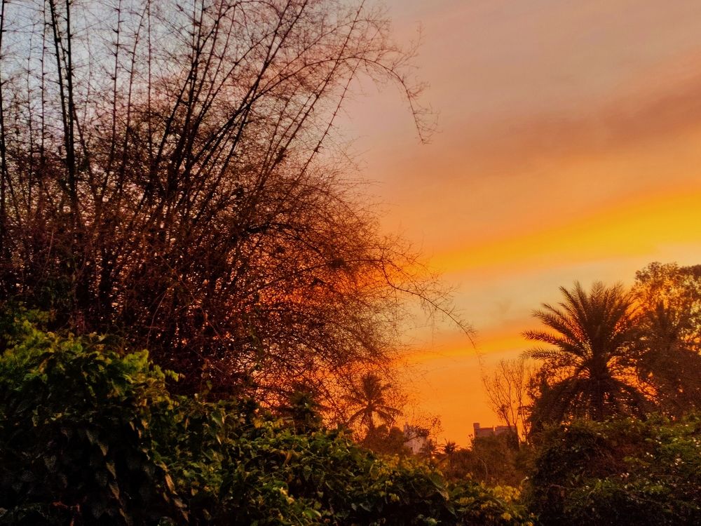 Beautiful Sunset