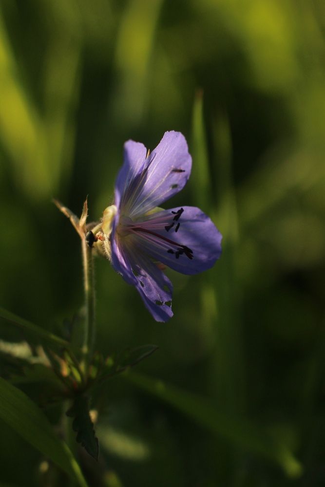 Photograph by Софья Белова