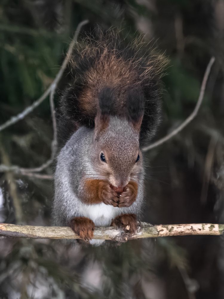 Photograph by Сергей Хабаров