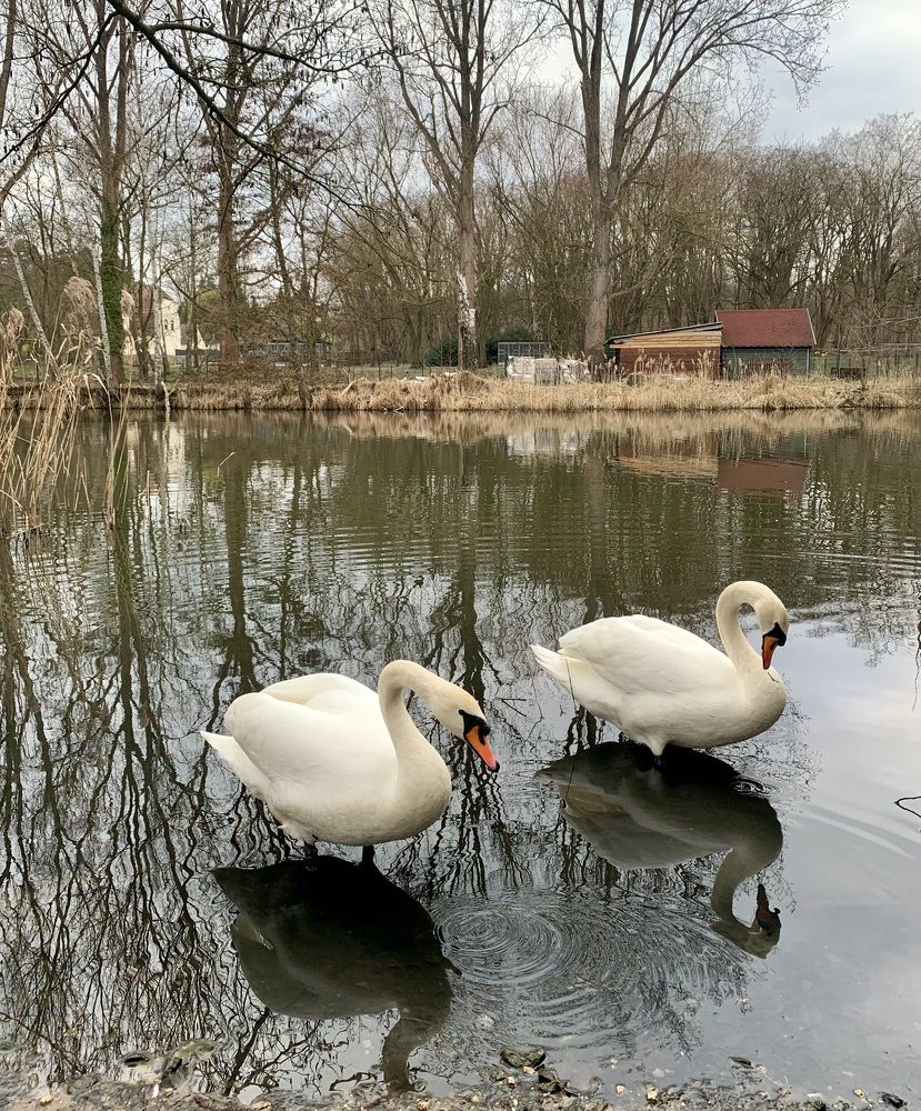 Photograph by Александр Чернега