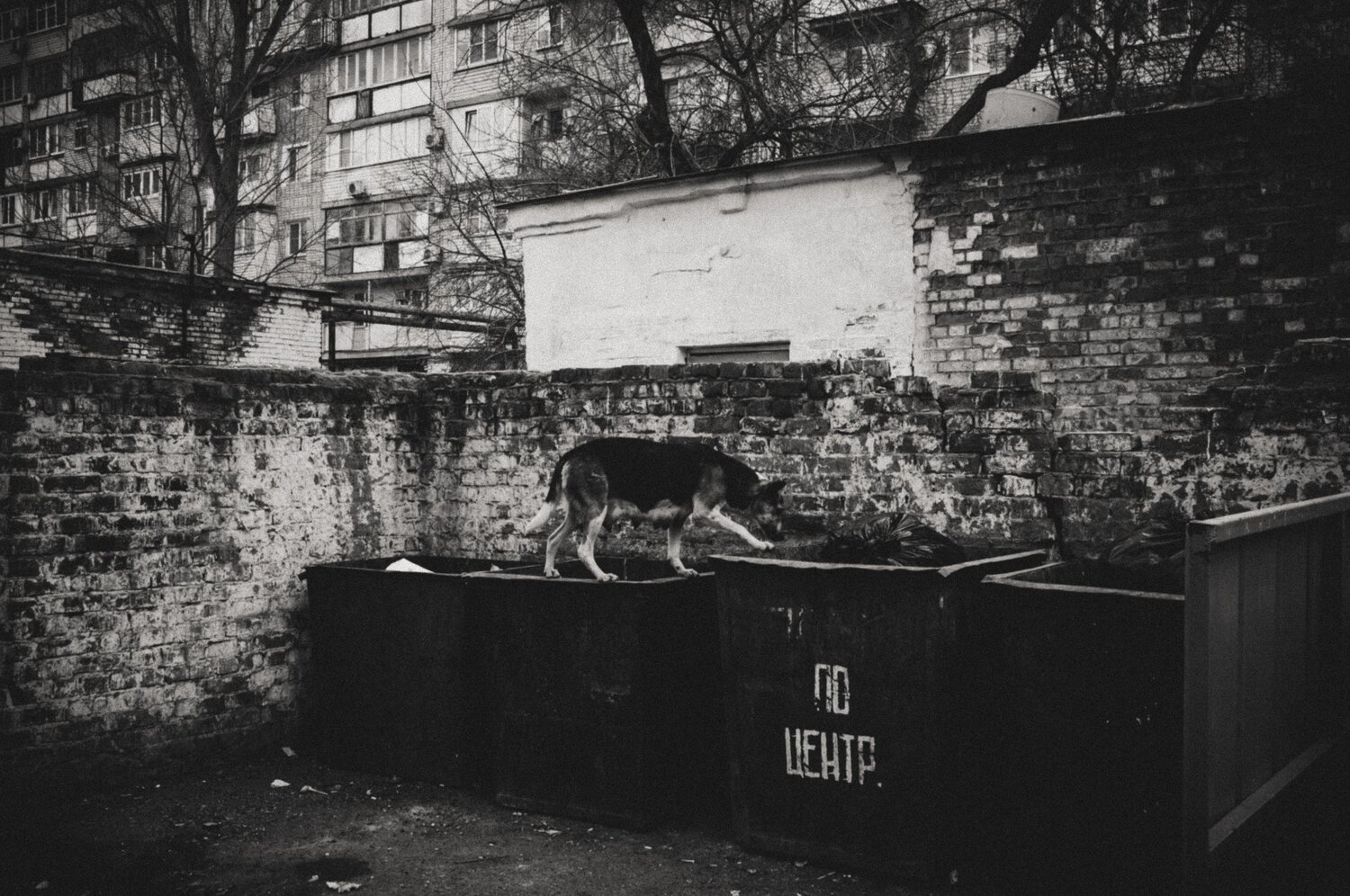 Photo #10461801