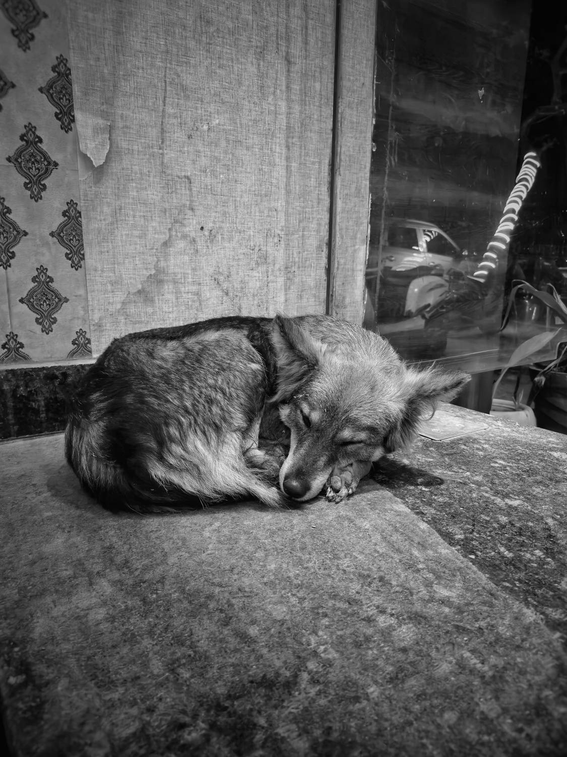 Photo #10461841