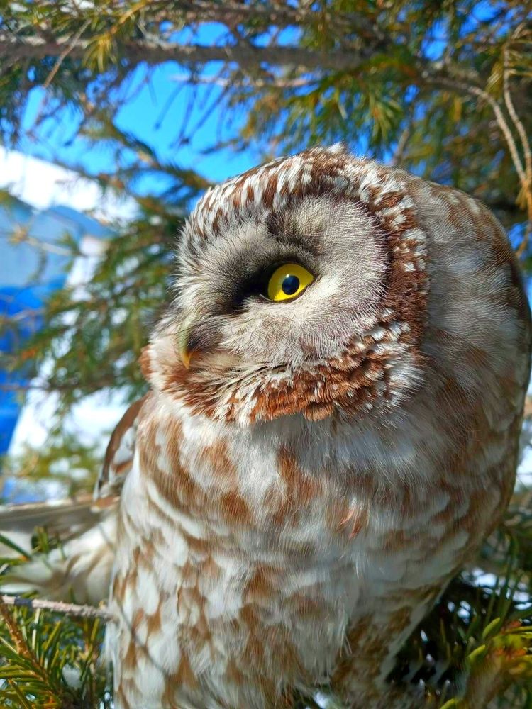 Photograph by Александра Королёва