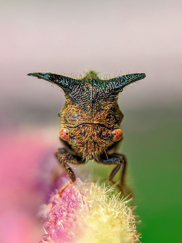 Photograph by Md Mofizul Islam