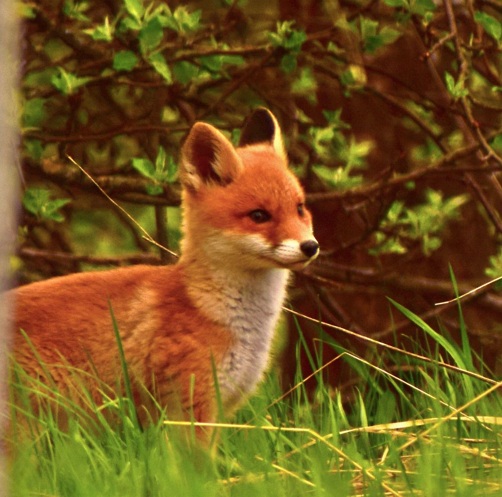 Photograph by Александр Шувалов