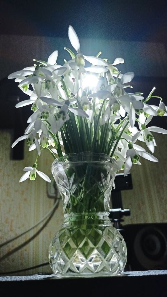 Фотография автора Луценко Марина