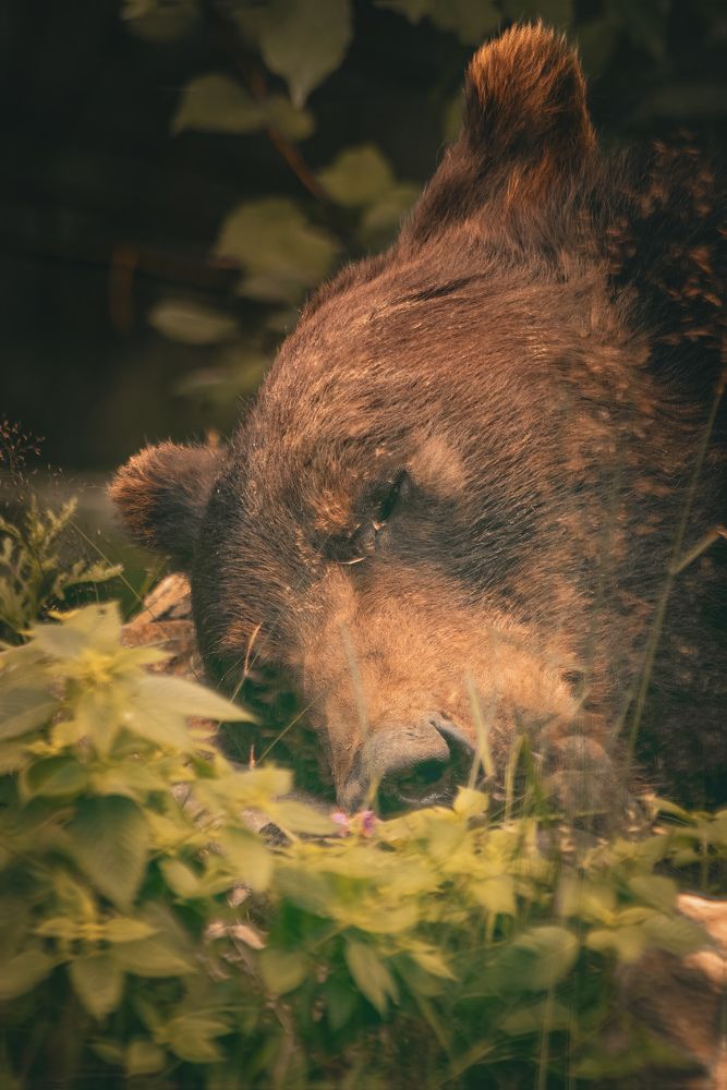 Photograph by Даниил Сырбу