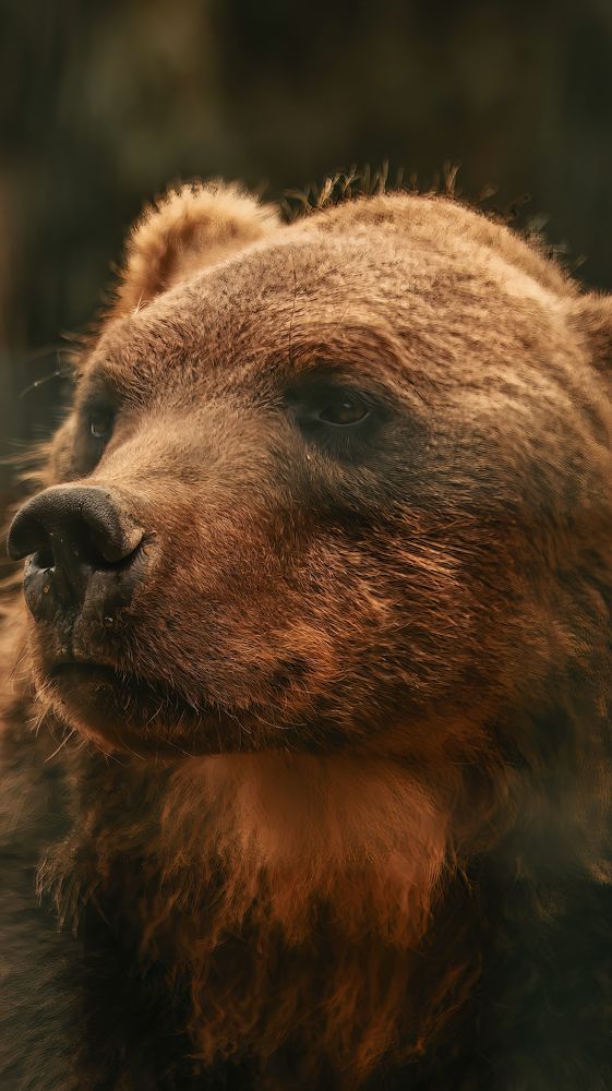 Photograph by Даниил Сырбу