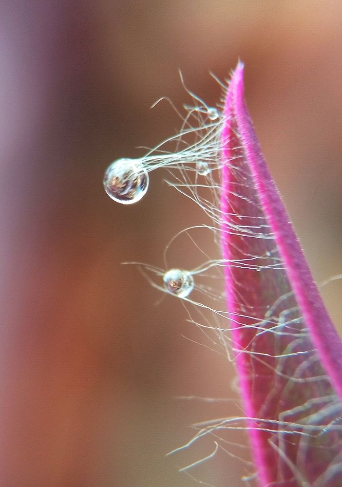 Фотография автора Mahdi Mohammadi