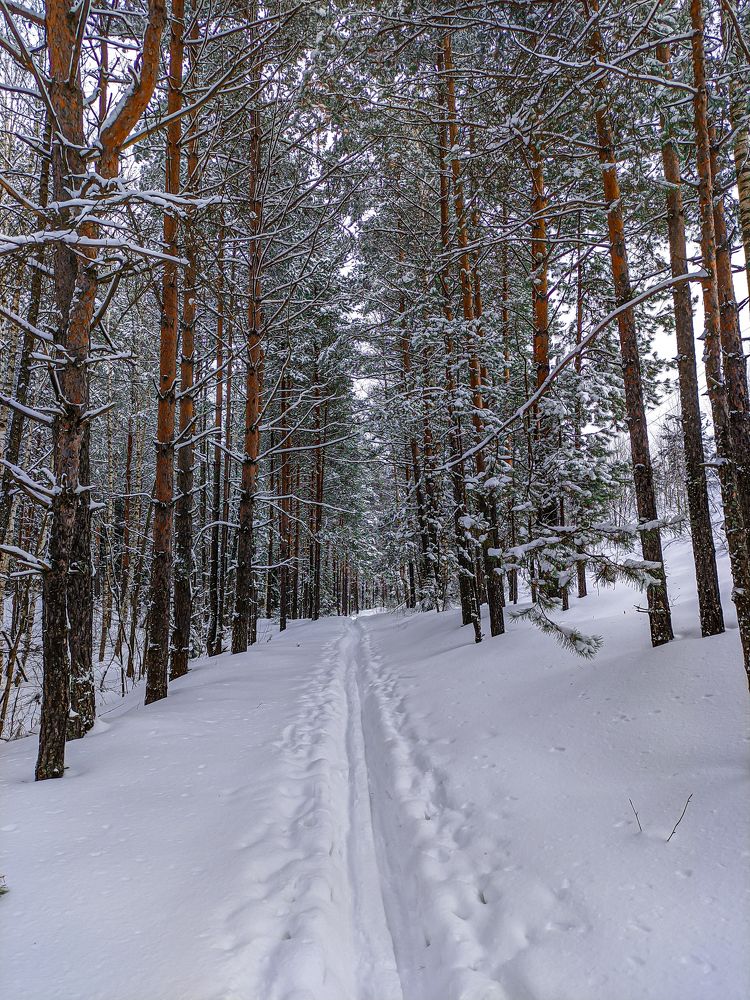 Фотография автора Александр Хухлов