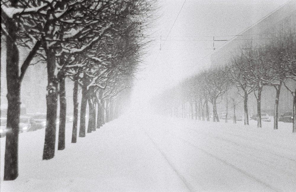 Фотография автора Алексей Тихонов