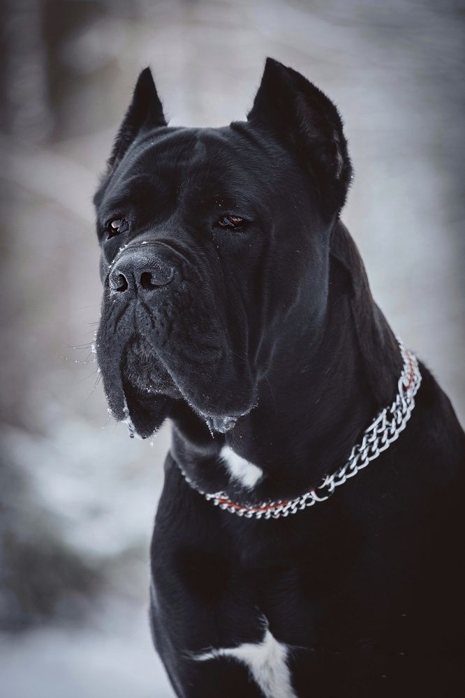 Photograph by Татьяна