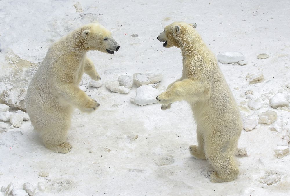 Photograph by Михаил Измайлов