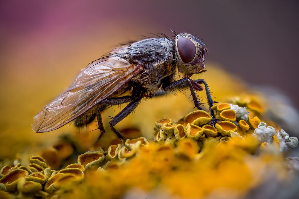 Photograph by Юрий Яковлевич