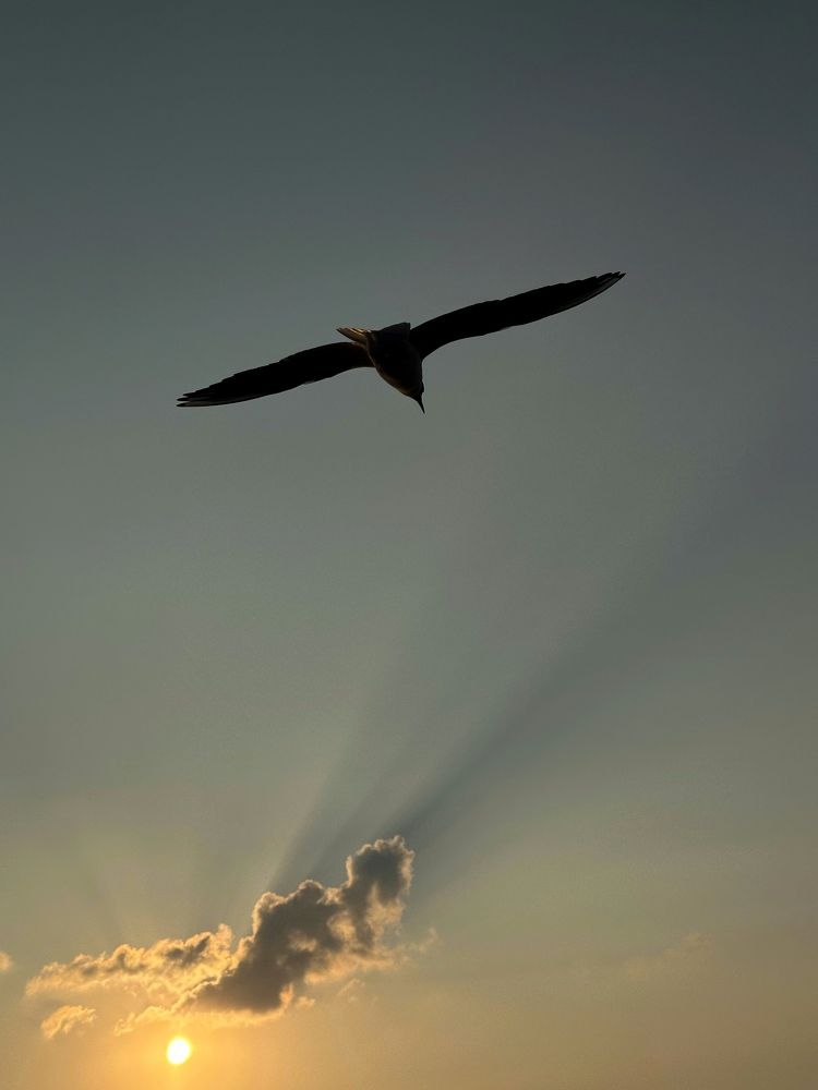 Photograph by Анастасия Конина