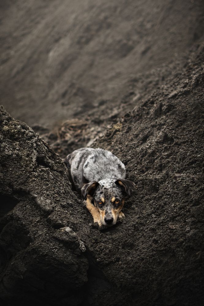 Photograph by leticia pascual garcia