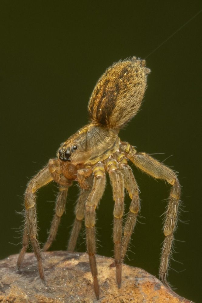 Photograph by heymans Tiffany